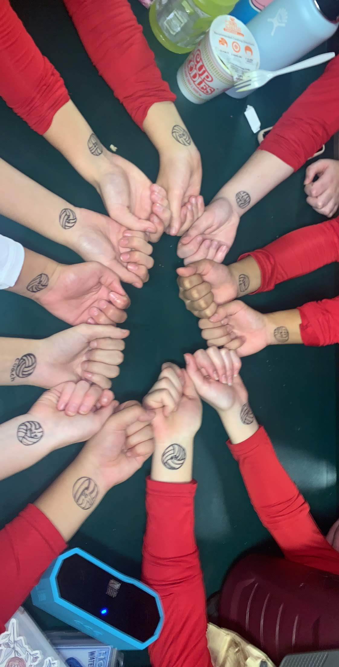 Volleyhearts